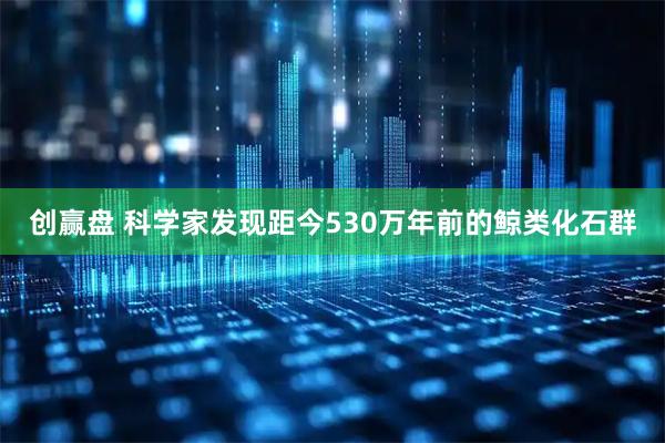 创赢盘 科学家发现距今530万年前的鲸类化石群