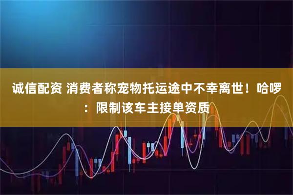 诚信配资 消费者称宠物托运途中不幸离世！哈啰：限制该车主接单资质